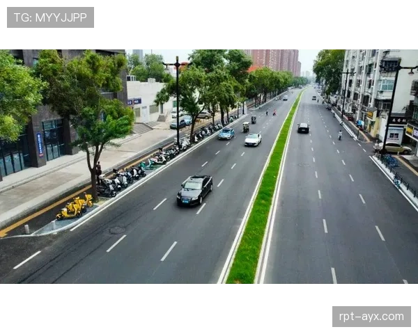 标准列日中路渗透策略显著提升城市交通效率