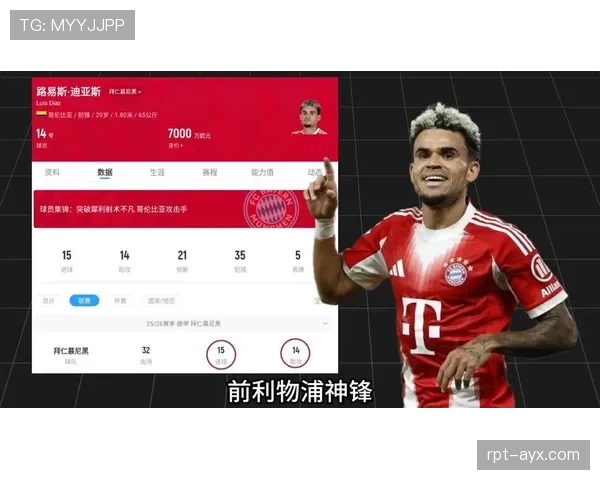葡萄牙队2026世界杯J组出线形势解析